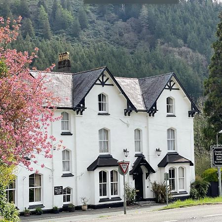 The Buckley Arms Hotel Dinas Mawddwy Bagian luar foto