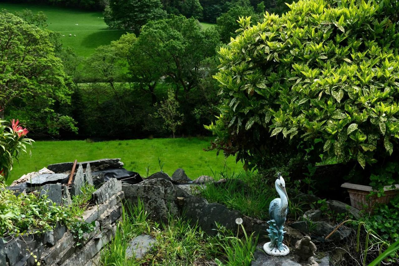 The Buckley Arms Hotel Dinas Mawddwy Bagian luar foto