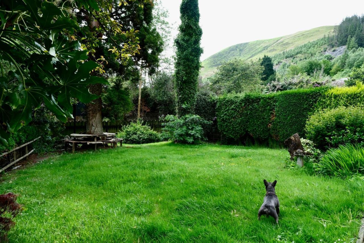 The Buckley Arms Hotel Dinas Mawddwy Bagian luar foto